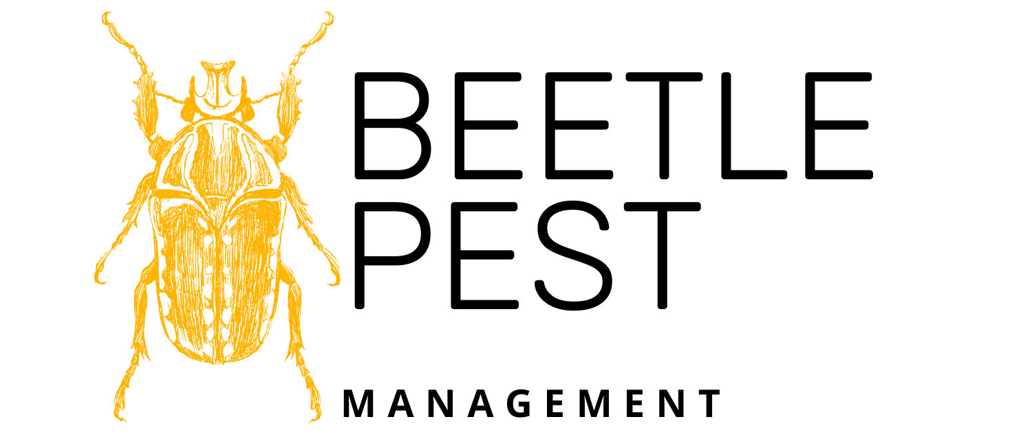 Beetle Pest Management